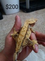 2016-08-23_00.34.14.jpg