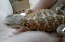 20160928_154219.jpg