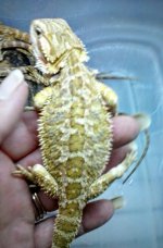 20160525_121411.jpg