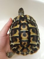 20170125_222246.jpg
