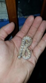 20160930_210400.jpg