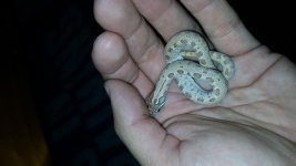 20160930_210447.jpg