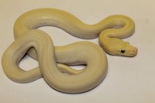 IMG_3459.JPG