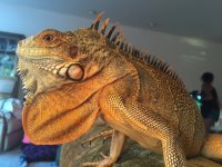 IMG_3344.jpg