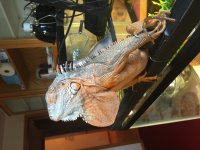 IMG_3345.jpg
