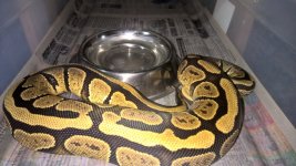 WP_20160920_15_13_16_Pro.jpg