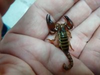 IMG_20160915_165652.jpg