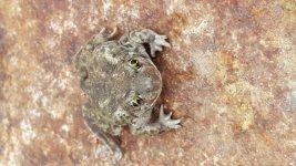 20160120_085404.jpg
