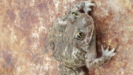 20160120_085256.jpg