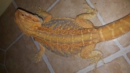20160905_134207.jpg