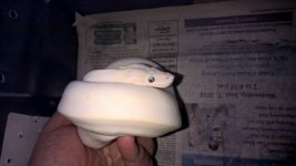 WP_20160920_16_35_48_Pro.jpg