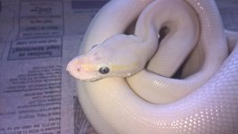 WP_20160920_16_36_06_Pro.jpg