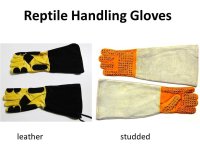 reptile handling gloves.jpg
