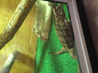 IMG_0558.jpg