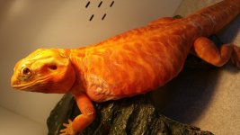 20161120_133747.jpg