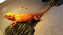 20161120_133815.jpg