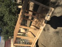 IMG_1259.jpg