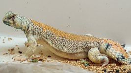 20160824_182535.jpg