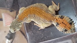 20160824_182357.jpg