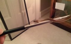 1201161707.jpg