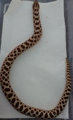 IMG_20170116_155850.jpg