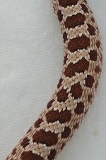IMG_20170116_160043.jpg