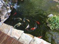 IMG_0097.jpg