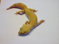 IMG_0728.jpg