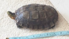 20170223_143522.jpg
