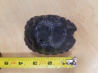 20161021_120826.jpg