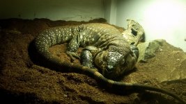 20161228_102511.jpg