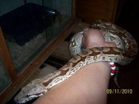 100_2725.jpg