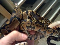20101222141113.jpg
