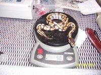 100_0332.jpg