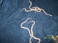 100_2735.jpg