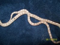100_2737.jpg