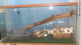 IMG_0930.jpg