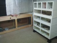 cage 2.jpg