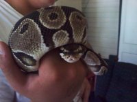 0710001734[1].jpg