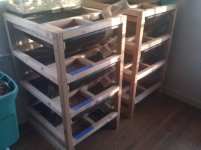 IMG_20110217_173343.jpg