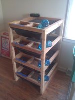 IMG_20110217_173335.jpg