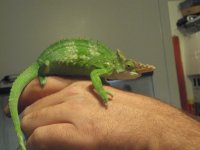 DSC01506.jpg