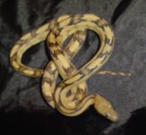 August and September 2010 020.JPG