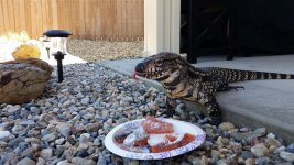 20160709_104658.jpg