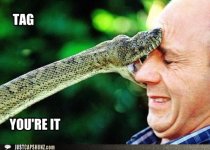 Snake tag.jpg