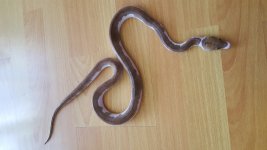 20160909_094623.jpg