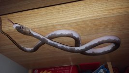 20160602_091638.jpg