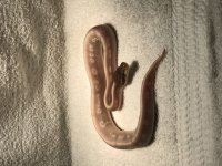 IMG_0289.jpg