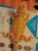 thumbnail_IMG_20161126_160828877.jpg