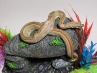 IMG_4353.jpg